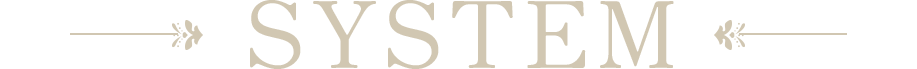 System